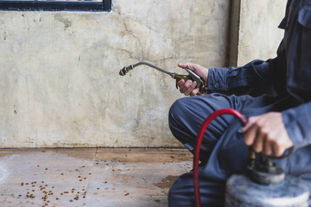Best Emergency Pest Control  in Masontown, PA